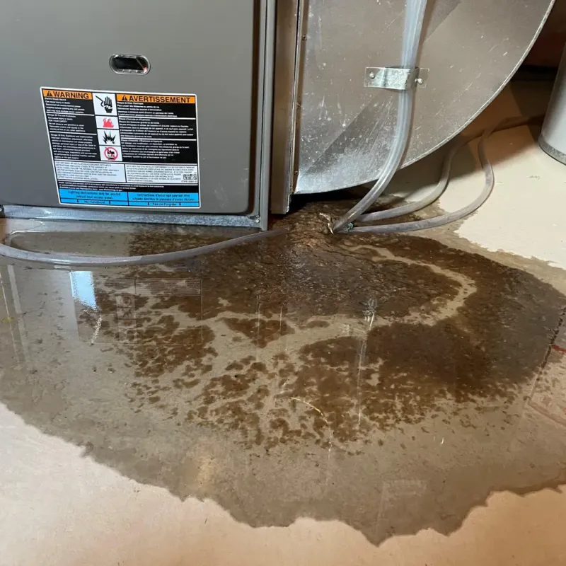 Appliance Leak Cleanup in Beach City, OH