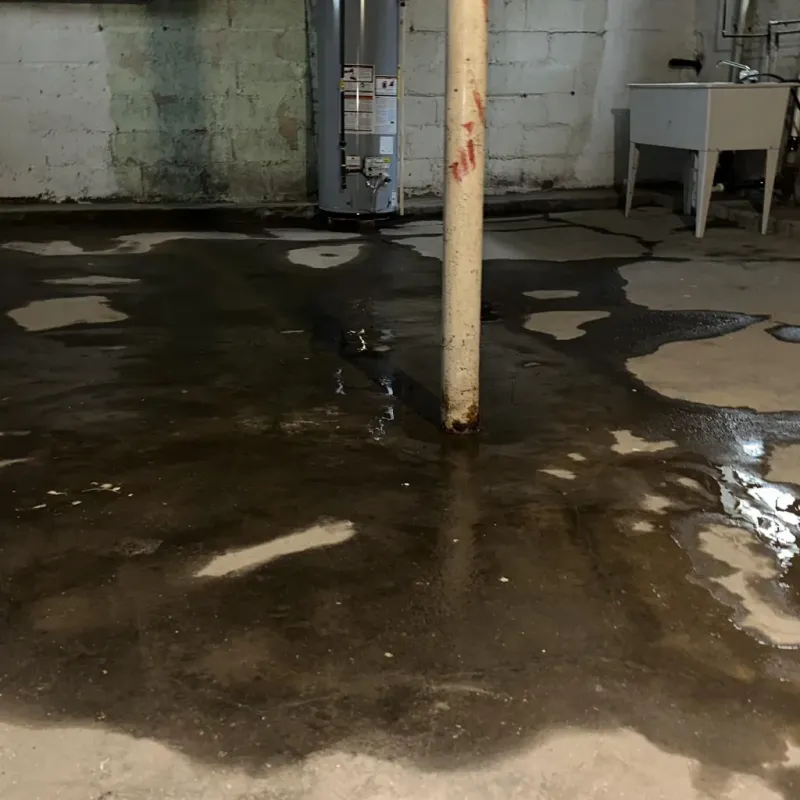 Emergency Water Extraction And Removal in Beach City, OH